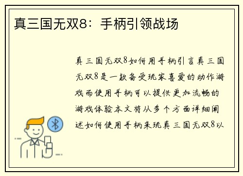 真三国无双8：手柄引领战场