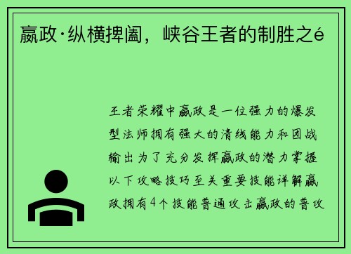 嬴政·纵横捭阖，峡谷王者的制胜之道