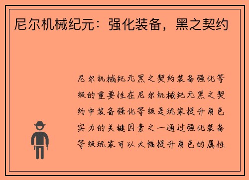 尼尔机械纪元：强化装备，黑之契约